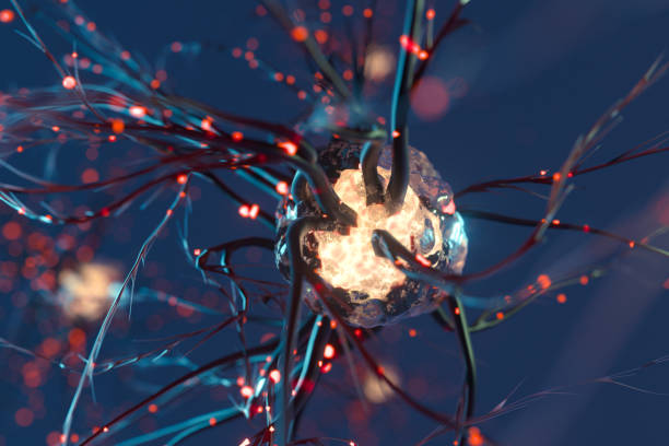 神經(jīng)干細胞移植治療原發(fā)性扭轉(zhuǎn)肌張力障礙：一例報告