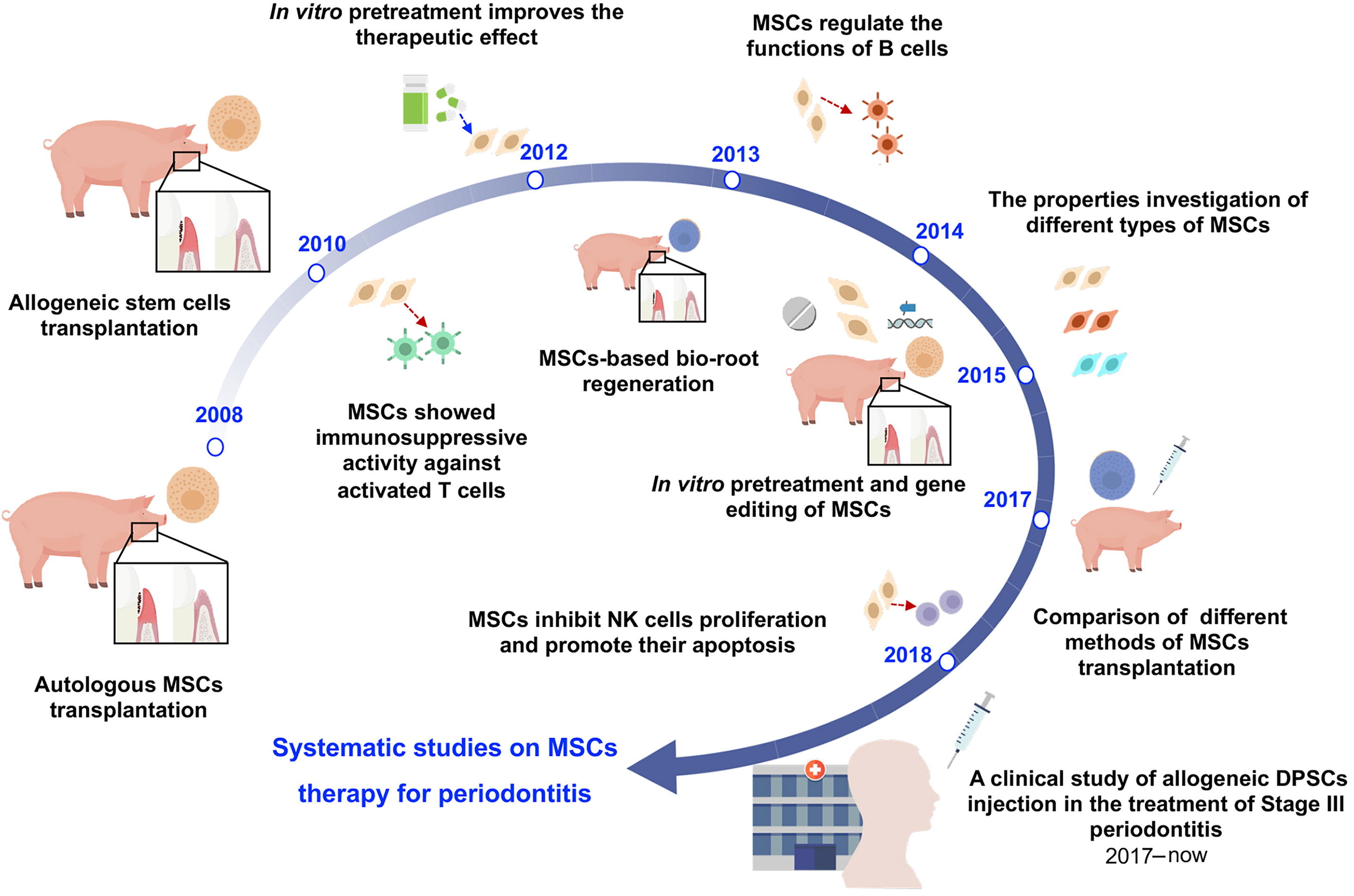 圖1:中國(guó)開(kāi)發(fā)治療牙周炎的間充質(zhì)干細(xì)胞藥物示意圖 圖1:中國(guó)開(kāi)發(fā)治療牙周炎的間充質(zhì)干細(xì)胞藥物示意圖
