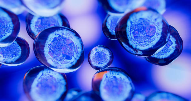 人間充質(zhì)干細(xì)胞藥物的開(kāi)發(fā)及臨床應(yīng)用 人間充質(zhì)干細(xì)胞藥物的開(kāi)發(fā)及臨床應(yīng)用