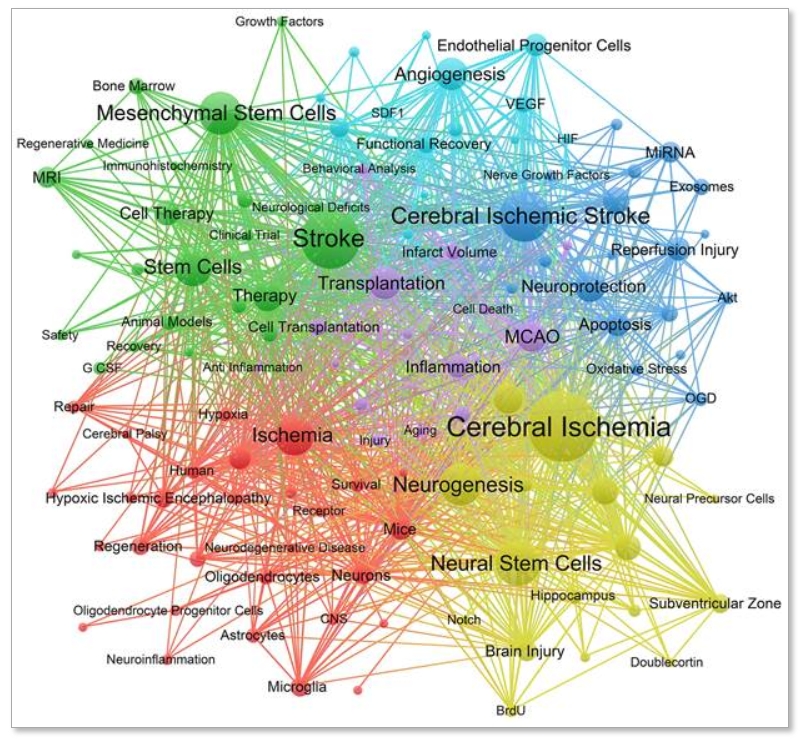 圖6：頻率至少為20的關鍵詞共現(xiàn)網(wǎng)絡。節(jié)點的大小代表關鍵詞出現(xiàn)的次數(shù)。線條代表不同關鍵字之間的聯(lián)系。顏色代表不同的簇。