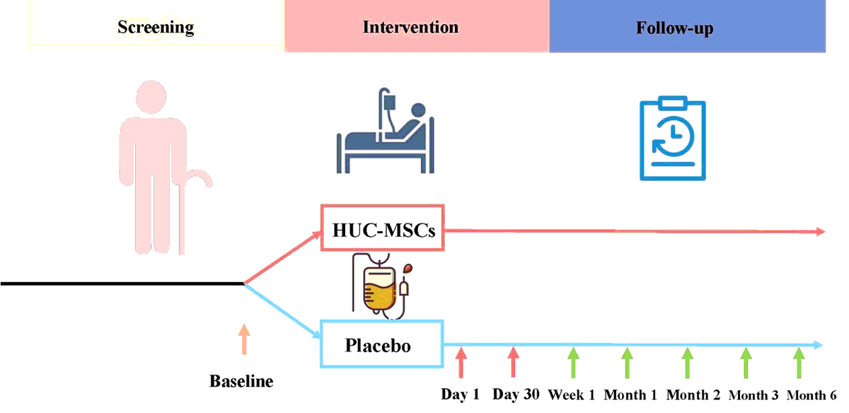 圖1：所有評估均在首次靜脈輸注HUC-MSC后1周、1、2、3和6個月時進行