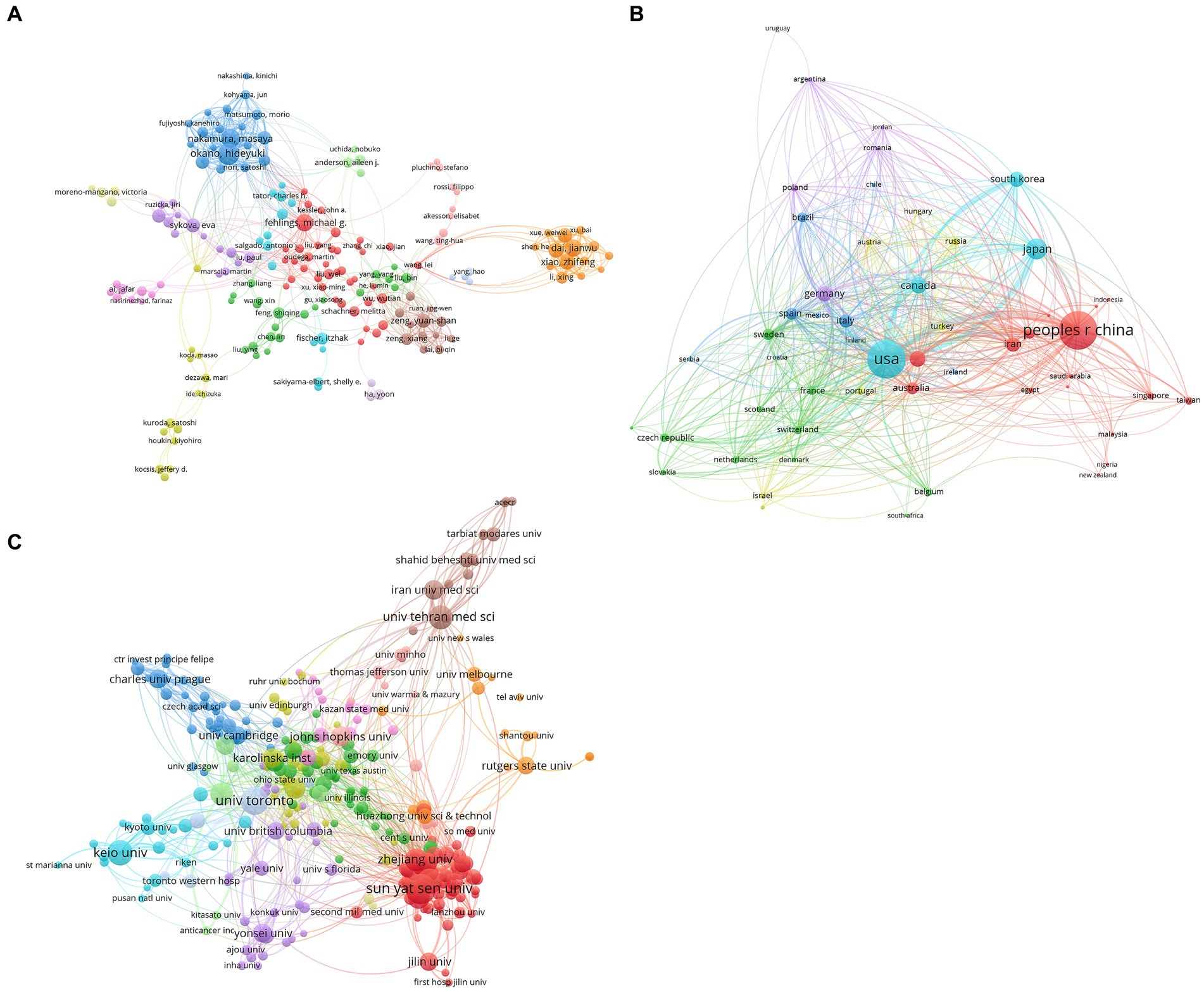 圖4：干細胞治療脊髓損傷研究的合著者分析。