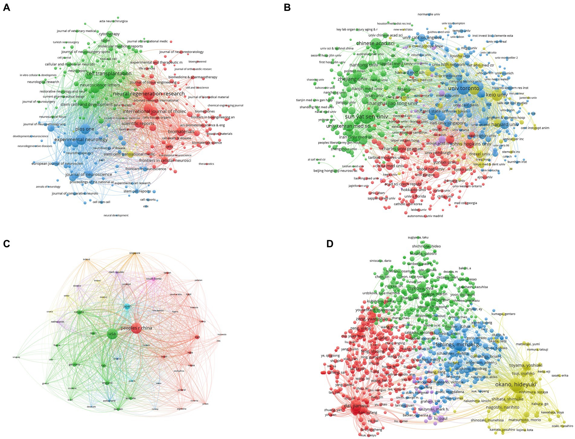圖5：脊髓損傷研究干細胞療法的文獻耦合分析。