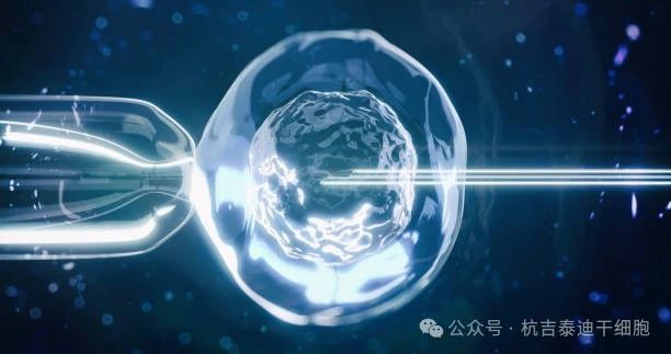 干細(xì)胞療法如何減緩肺部疾病的癥狀？