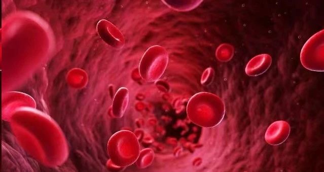 我國干細(xì)胞療法未來可期