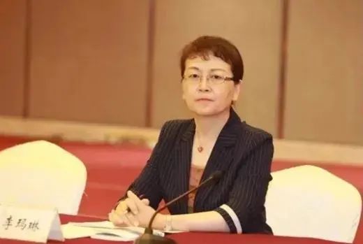 云南省副省長、民進中央常委李瑪琳