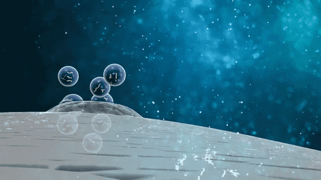 △MSCs可以通過與細胞間的相互作用，及旁分泌生物活性因子來完成機體的免疫調(diào)節(jié)