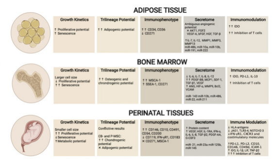 △?UC-MSC、AT-MSC及BM-MSC生物差異性對比，圖中額外增加表面標志物對比