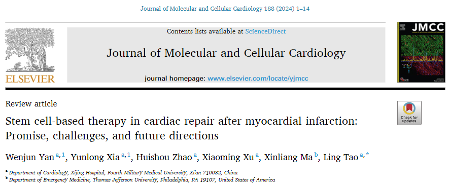 干細(xì)胞治療效果不佳？這四招能助你效果大增！