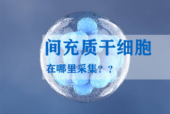 間充質(zhì)干細(xì)胞在哪里采集？