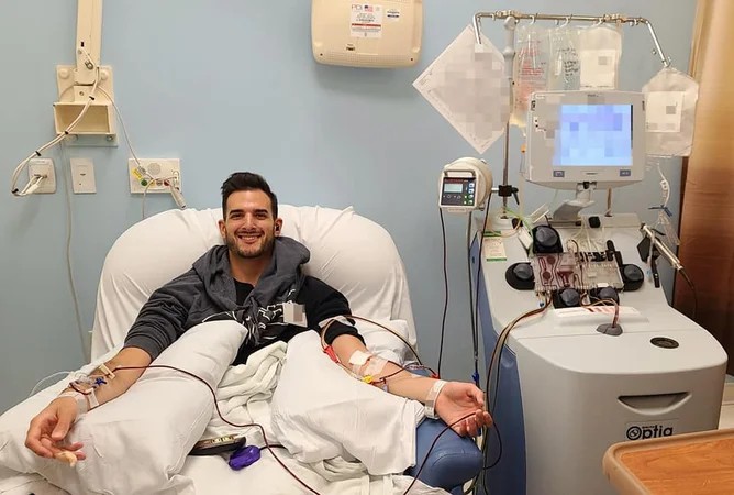 大多數(shù)干細(xì)胞是在哪里采集的？