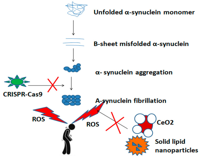 圖3：納米粒子和基因編輯技術(shù)（例如CRISPR-Cas9系統(tǒng)）在PD發(fā)病途徑中的抑制作用的示意圖。