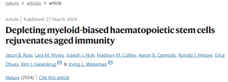 消除髓系造血干細胞可恢復衰老的免疫力