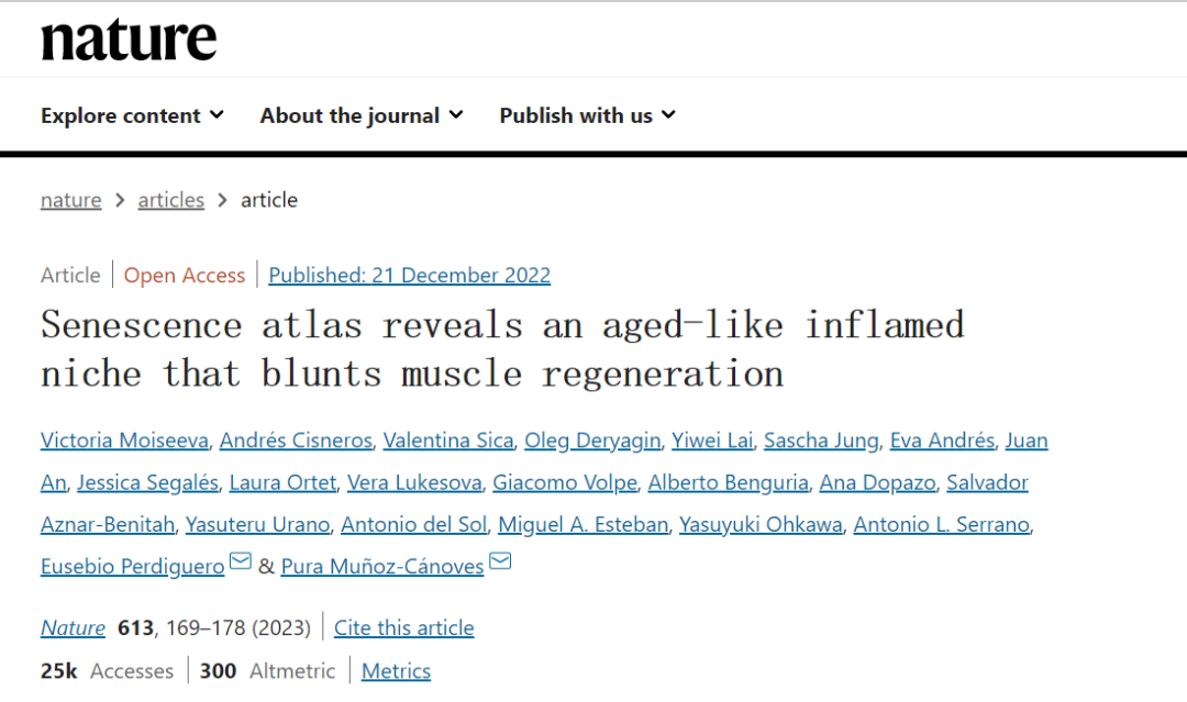 衰老圖譜揭示了類似衰老的炎癥微環(huán)境，阻礙了肌肉再生
