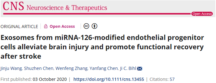 miRNA-126修飾內(nèi)皮祖細(xì)胞的外泌體可減輕腦損傷并促進(jìn)中風(fēng)后功能恢復(fù)