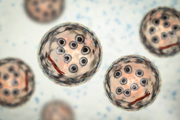 誘導(dǎo)多能干細(xì)胞衍生的細(xì)胞療法進(jìn)行人體試驗(yàn)的研究 誘導(dǎo)多能干細(xì)胞衍生的細(xì)胞療法進(jìn)行人體試驗(yàn)的研究