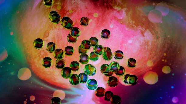 胚胎干細(xì)胞 胚胎干細(xì)胞