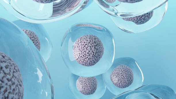 羊膜干細(xì)胞療法有效嗎？