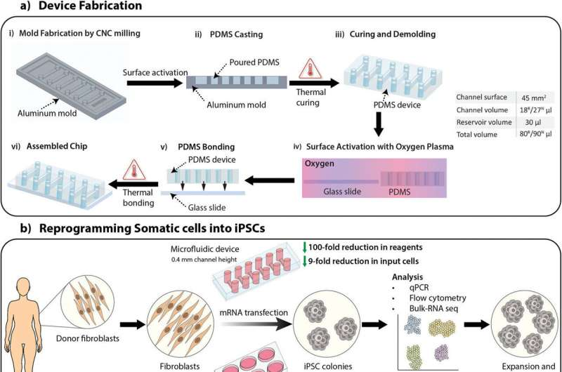 新設(shè)備改善了干細(xì)胞的生成，為阿爾茨海默氏癥細(xì)胞療法提供了機(jī)會