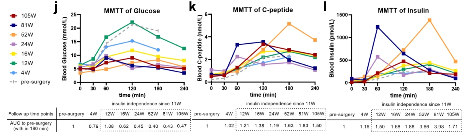 來自 MMTT 測(cè)定的血清空腹和進(jìn)餐刺激的循環(huán)葡萄糖、C 肽和胰島素水平