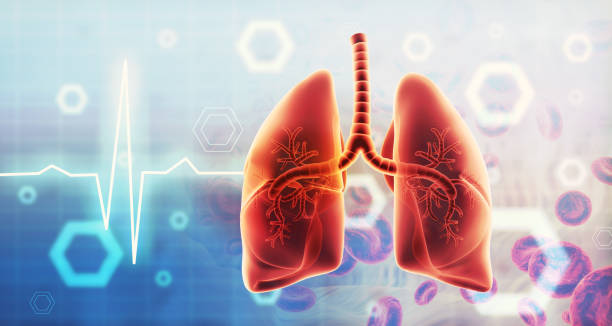 肺纖維化：干細(xì)胞治療是前進(jìn)的方向嗎？