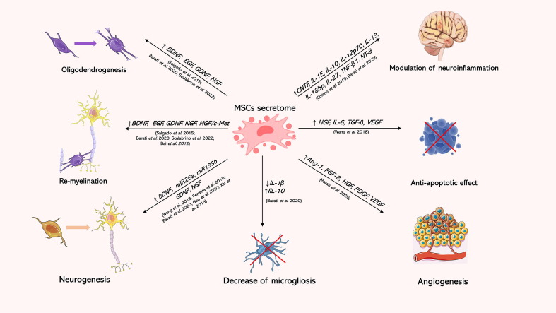 MSCs衍生的EV的給藥也已在不同的神經(jīng)和精神疾病領(lǐng)域進(jìn)行了探索 MSCs衍生的EV的給藥也已在不同的神經(jīng)和精神疾病領(lǐng)域進(jìn)行了探索