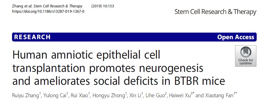 人類羊膜上皮細(xì)胞移植促進(jìn) BTBR 小鼠的神經(jīng)發(fā)生并改善社交缺陷