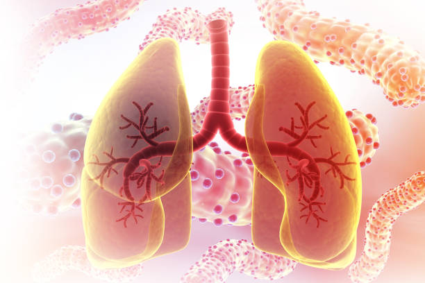 獲得國家藥監(jiān)局批準(zhǔn)！廣州醫(yī)科大學(xué)附屬第一醫(yī)院正在開展人臍帶源間充質(zhì)干細(xì)胞注射液治療IPF臨床研究