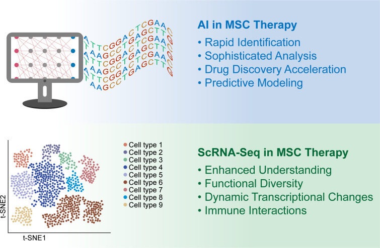 圖1：人工智能 (AI) 和單細(xì)胞RNA測序 (scRNA-seq) 用于增強(qiáng)間充質(zhì)干細(xì)胞 (MSC) 的臨床應(yīng)用。