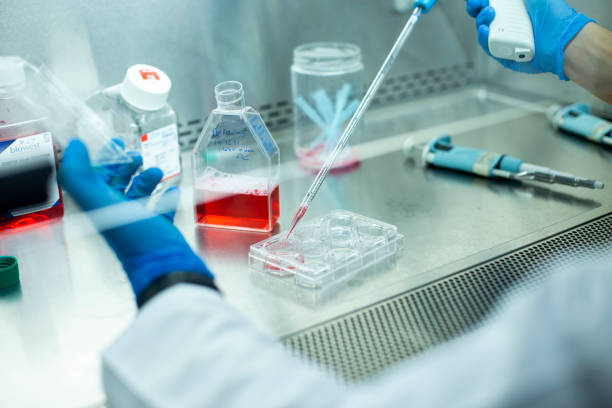 什么是再生醫(yī)學(xué)技術(shù):如何開(kāi)啟治療和康復(fù)的未來(lái) 什么是再生醫(yī)學(xué)技術(shù):如何開(kāi)啟治療和康復(fù)的未來(lái)