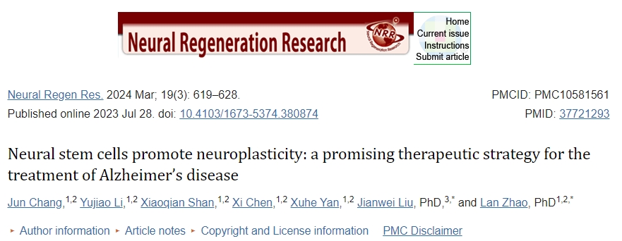 神經(jīng)干細胞促進神經(jīng)可塑性：一種治療阿爾茨海默病的有前途的治療策略