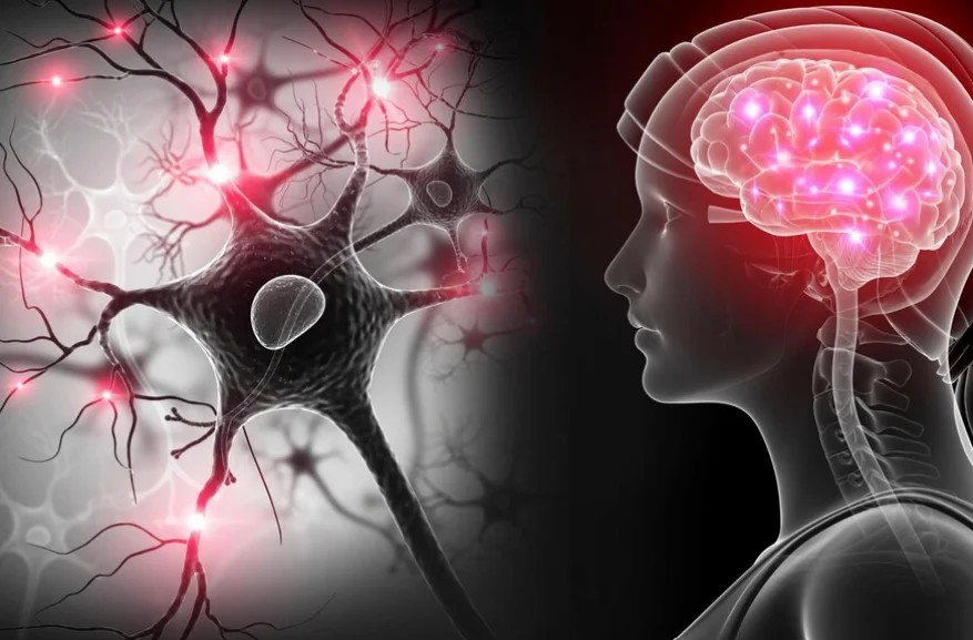 干細(xì)胞移植治療神經(jīng)系統(tǒng)疾病的現(xiàn)狀和未來(lái)展望 干細(xì)胞移植治療神經(jīng)系統(tǒng)疾病的現(xiàn)狀和未來(lái)展望