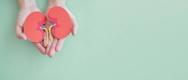 慢性腎病治療，你了解這6種方法嗎？