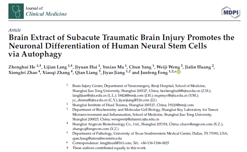 亞急性創(chuàng)傷性腦損傷腦提取物通過自噬促進(jìn)人類神經(jīng)干細(xì)胞的神經(jīng)元分化