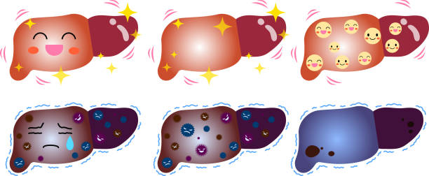 肝衰竭：急性和慢性有什么分別？