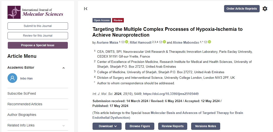 針對缺氧缺血的多個復雜過程實現神經保護
