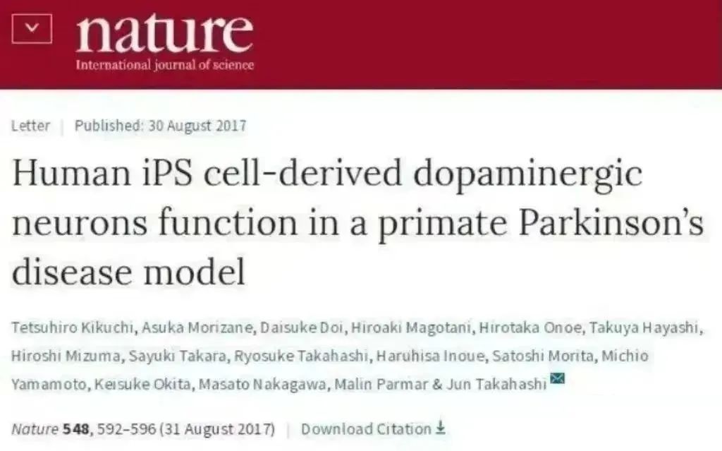 人類 iPS 細(xì)胞衍生的多巴胺能神經(jīng)元在靈長類帕金森病模型中發(fā)揮作用
