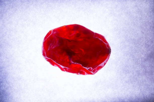 什么是血腦屏障？間充質(zhì)干細(xì)胞是否具備穿過血腦屏障的能力？