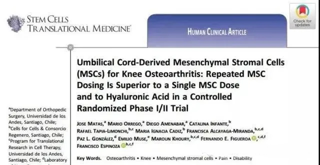 臍帶間充質(zhì)基質(zhì)細(xì)胞 (MSC) 治療膝骨關(guān)節(jié)炎：在一項(xiàng)隨機(jī)對照 I/II 期試驗(yàn)中，重復(fù) MsC 給藥優(yōu)于單次 MsC 給藥和透明質(zhì)酸