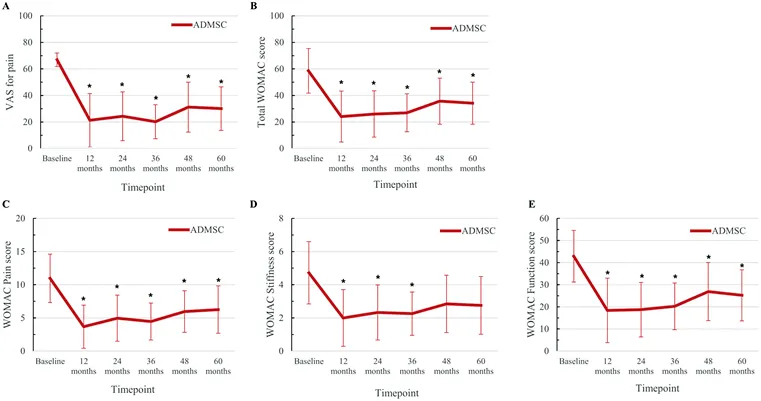與對照組患者相比，在注射后6個月直至隨訪結(jié)束時(shí)，經(jīng)過間充質(zhì)干細(xì)胞臨床治療的膝骨關(guān)節(jié)炎患者膝骨關(guān)節(jié)疼痛程度更輕且膝骨關(guān)節(jié)功能狀態(tài)更好。