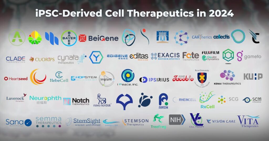 2024年研發(fā)iPSC細(xì)胞治療的公司有哪些？有哪些臨床試驗項目？