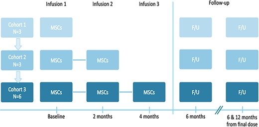 本研究是一項I期開放標(biāo)簽劑量遞增試驗，研究對象為患有ASD的幼兒，靜脈輸注一次、兩次或三次hCT-MSC