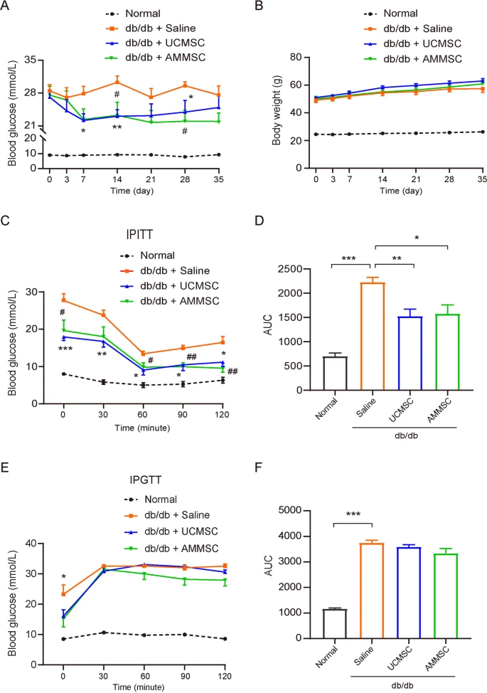 圖1：小鼠在AMMSC或UCMSC給藥后的代謝表型。