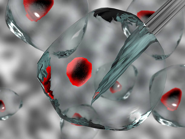 抑郁癥的治療方式有哪些？