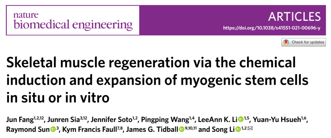 骨骼肌再生通過(guò)化學(xué)誘導(dǎo)和擴(kuò)張的肌源性干細(xì)胞在原位或體外