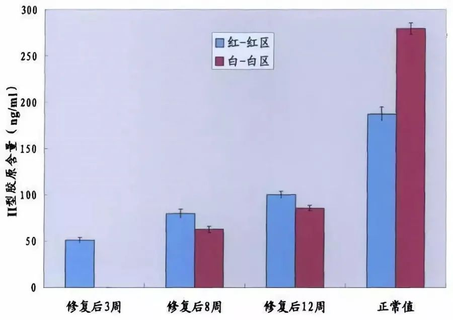 不同時(shí)間點(diǎn)修復(fù)組織紅-紅區(qū)與白-白區(qū)II型膠原表達(dá)量
