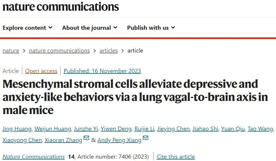 間充質(zhì)基質(zhì)細(xì)胞通過肺迷走神經(jīng)-腦軸緩解雄性小鼠的抑郁和焦慮樣行為