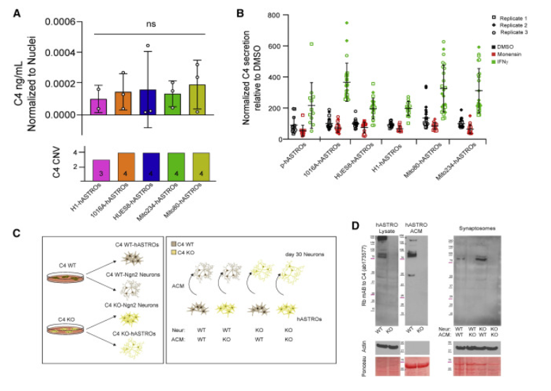 2023年干細(xì)胞治療精神分裂癥臨床案例 2023年干細(xì)胞治療精神分裂癥臨床案例