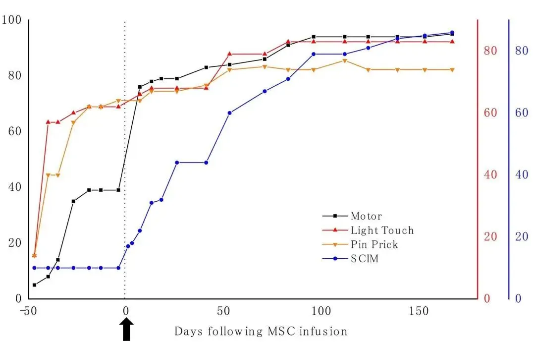 干細胞治療脊髓損傷的治療效果如何？