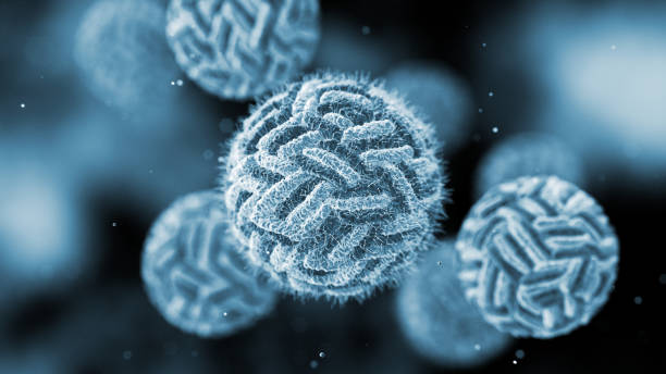 標(biāo)準(zhǔn)意義 標(biāo)準(zhǔn)意義